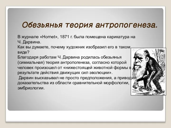 Обезьянья теория антропогенеза. В журнале «Hornet», 1871 г. была помещена карикатура