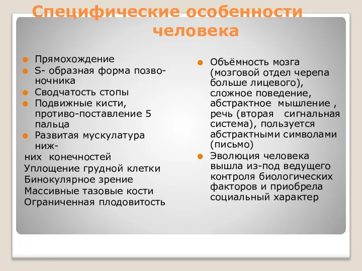 Специфические особенности человека Прямохождение S- образная форма позво-ночника Сводчатость стопы Подвижные