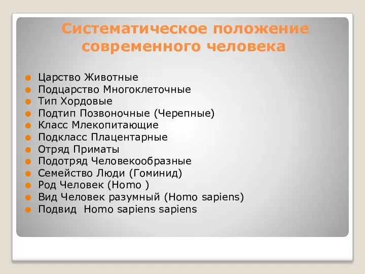 Систематическое положение современного человека Царство Животные Подцарство Многоклеточные Тип Хордовые Подтип