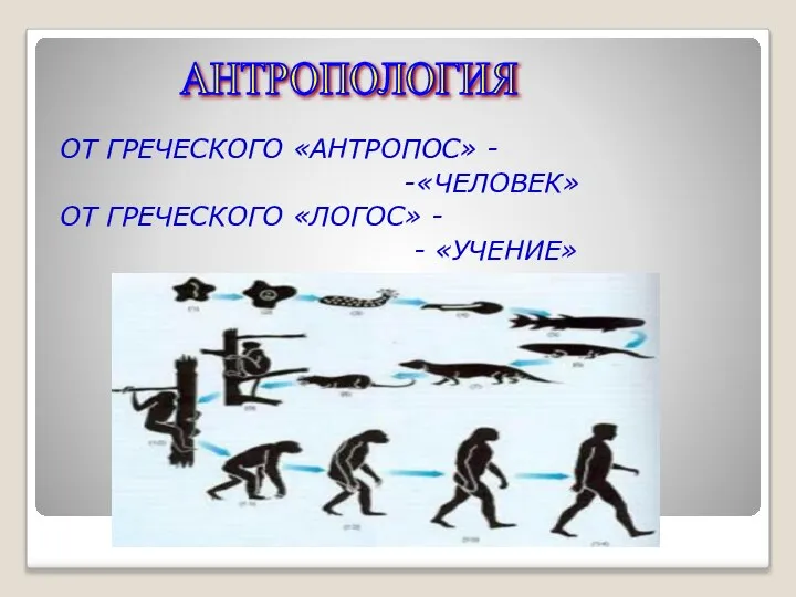 ОТ ГРЕЧЕСКОГО «АНТРОПОС» - -«ЧЕЛОВЕК» ОТ ГРЕЧЕСКОГО «ЛОГОС» - - «УЧЕНИЕ» АНТРОПОЛОГИЯ