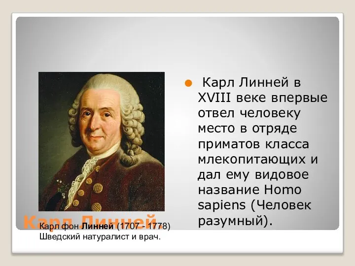 Карл Линней. Карл Линней в XVIII веке впервые отвел человеку место