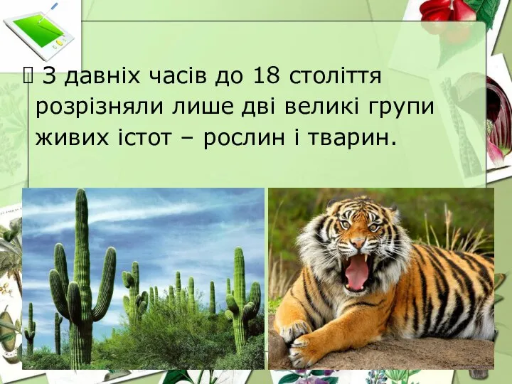 З давніх часів до 18 століття розрізняли лише дві великі групи