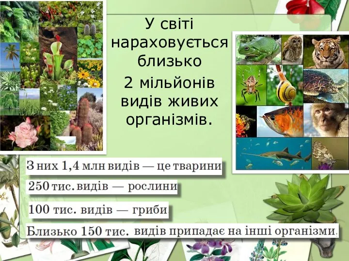 У світі нараховується близько 2 мільйонів видів живих організмів.