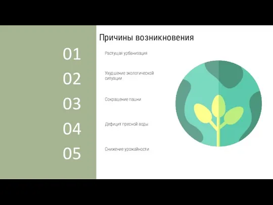 Причины возникновения Сокращение пашни 03 Растущая урбанизация 01 Ухудшение экологической ситуации