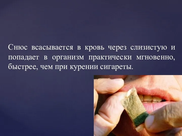 Снюс всасывается в кровь через слизистую и попадает в организм практически