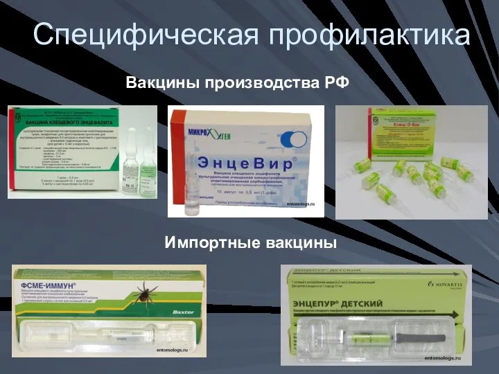 Специфическая профилактика Вакцины производства РФ Импортные вакцины