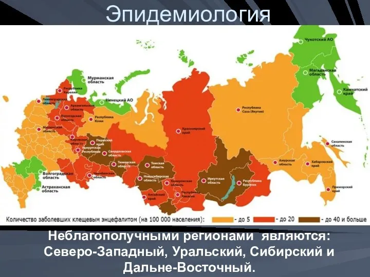 Эпидемиология Неблагополучными регионами являются: Северо-Западный, Уральский, Сибирский и Дальне-Восточный.