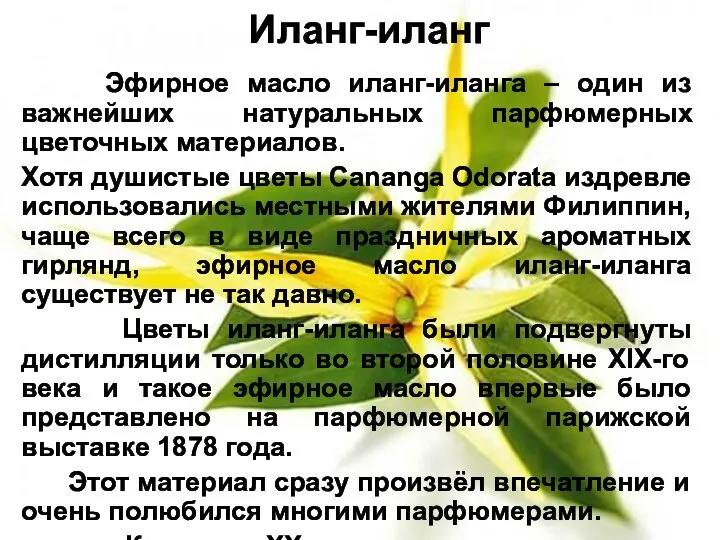 Иланг-иланг Эфирное масло иланг-иланга – один из важнейших натуральных парфюмерных цветочных