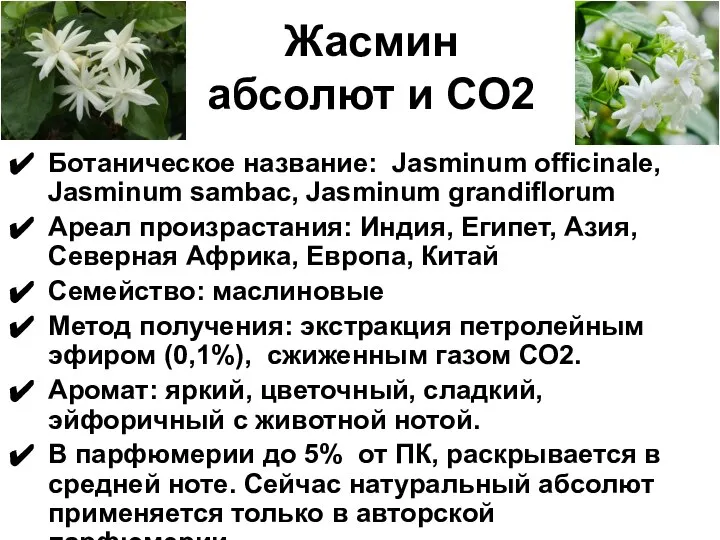 Жасмин абсолют и СО2 Ботаническое название: Jasminum officinale, Jasminum sambac, Jasminum