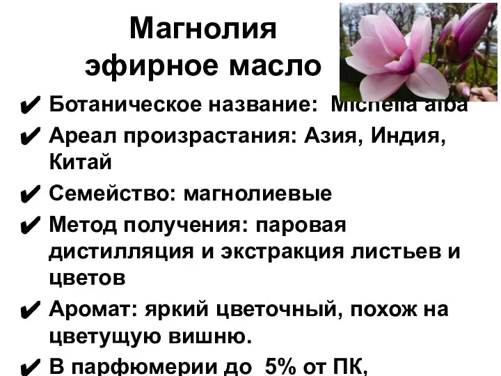 Магнолия эфирное масло Ботаническое название: Michelia alba Ареал произрастания: Азия, Индия,