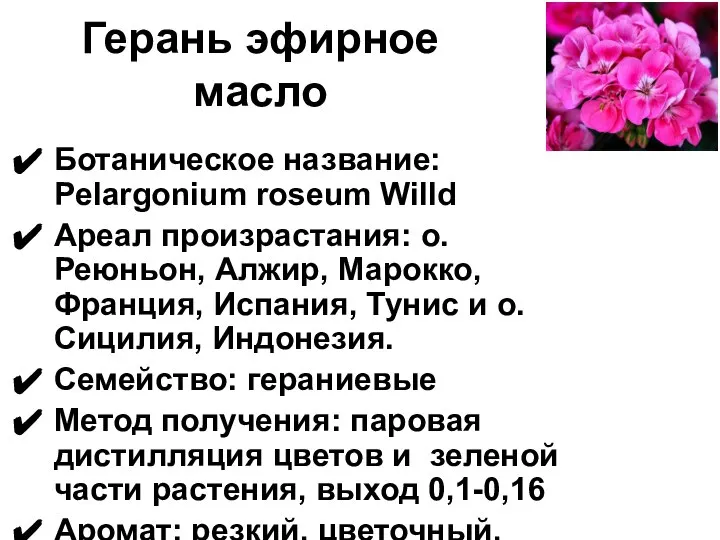 Герань эфирное масло Ботаническое название: Pelargonium roseum Willd Ареал произрастания: о.