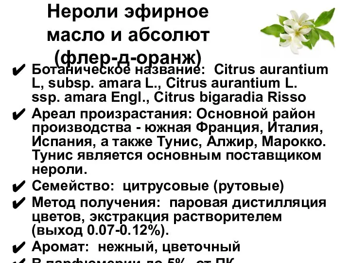 Нероли эфирное масло и абсолют (флер-д-оранж) Ботаническое название: Citrus aurantium L,