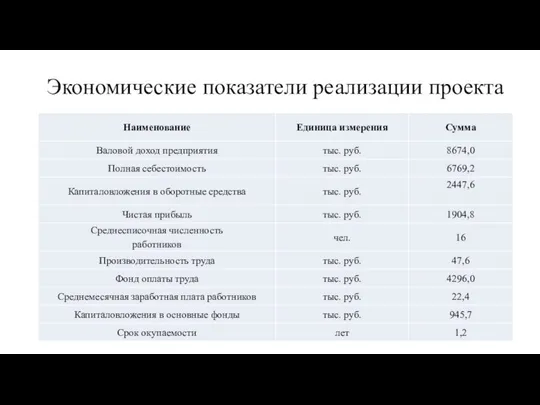 Экономические показатели реализации проекта