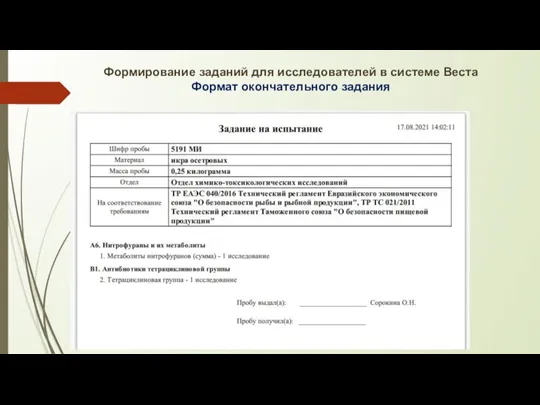 Формирование заданий для исследователей в системе Веста Формат окончательного задания