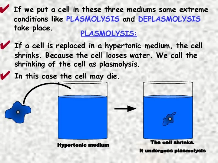 If we put a cell in these three mediums some extreme