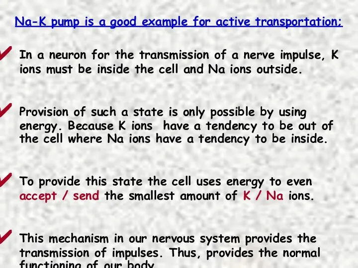 In a neuron for the transmission of a nerve impulse, K