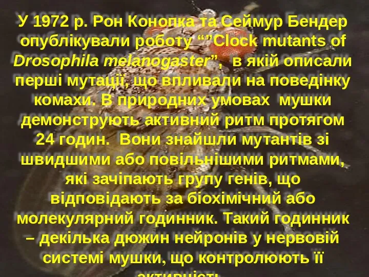 У 1972 р. Рон Конопка та Сеймур Бендер опублікували роботу “”Clock