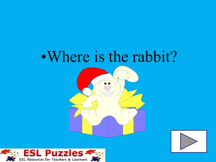 Where is the rabbit?