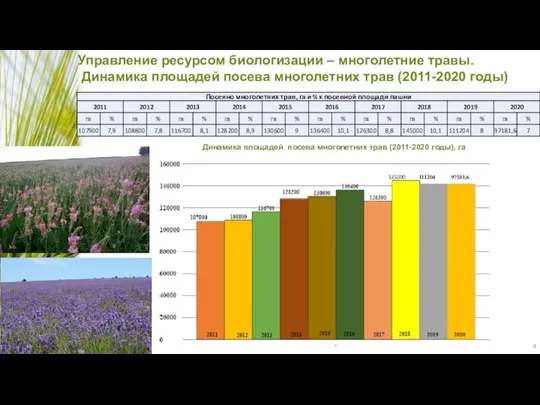 Управление ресурсом биологизации – многолетние травы. Динамика площадей посева многолетних трав (2011-2020 годы)