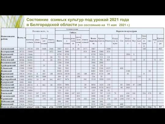 Состояние озимых культур под урожай 2021 года в Белгородской области (по