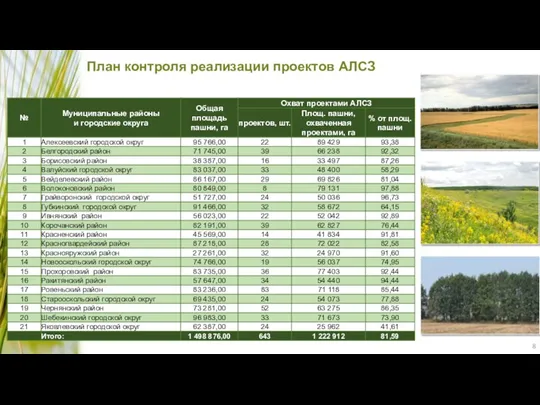 План контроля реализации проектов АЛСЗ