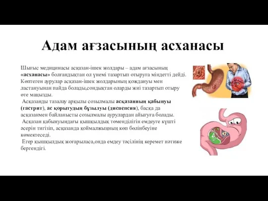 Шығыс медицинасы асқазан-ішек жолдары – адам ағзасының «асханасы» болғандықтан ол үнемі