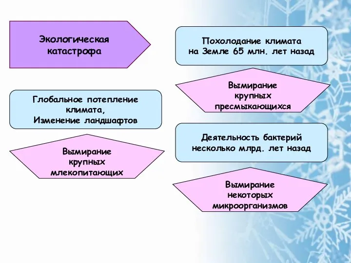 Экологическая катастрофа Похолодание климата на Земле 65 млн. лет назад Деятельность