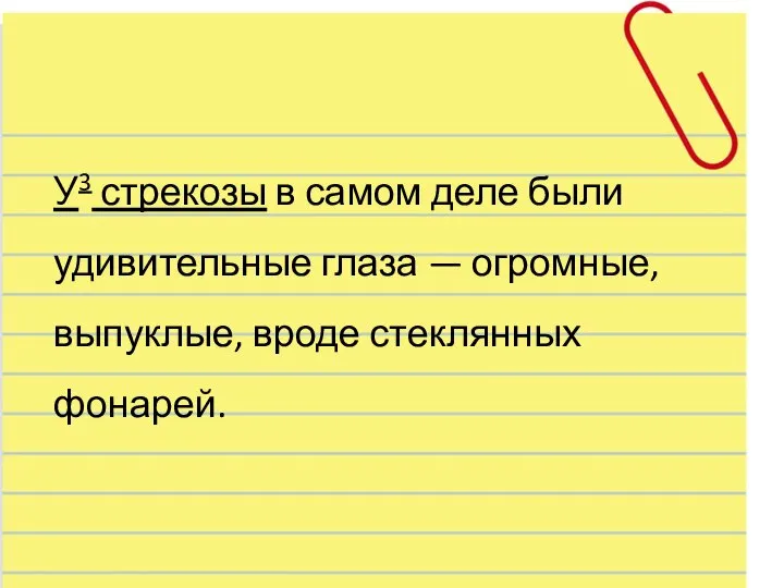 У3 стрекозы в самом деле были удивительные глаза — огромные, выпуклые, вроде стеклянных фонарей.