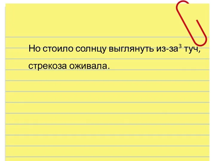 Но стоило солнцу выглянуть из-за3 туч, стрекоза оживала.