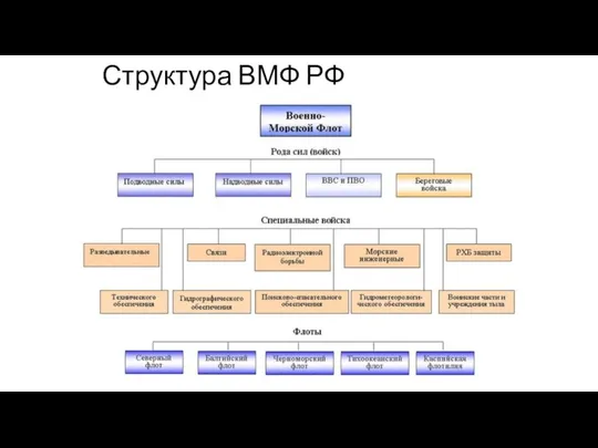 Структура ВМФ РФ