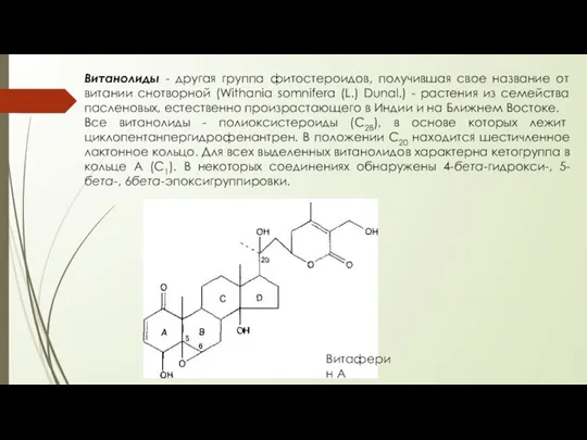 Витанолиды - другая группа фитостероидов, получившая свое название от витании снотворной