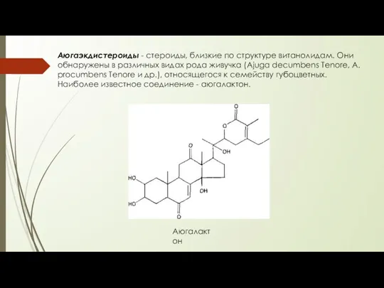 Аюгаэкдистероиды - стероиды, близкие по структуре витанолидам. Они обнаружены в различных