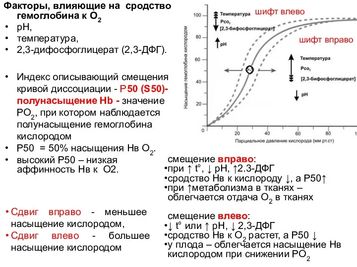 Факторы, влияющие на сродство гемоглобина к О2 pH, температура, 2,3-дифосфоглицерат (2,3-ДФГ).