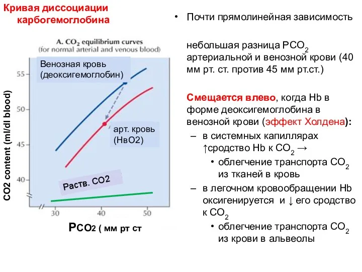 Почти прямолинейная зависимость небольшая разница PCO2 артериальной и венозной крови (40