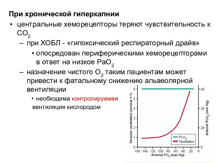 При хронической гиперкапнии центральные хеморецепторы теряют чувствительность к CO2 при ХОБЛ