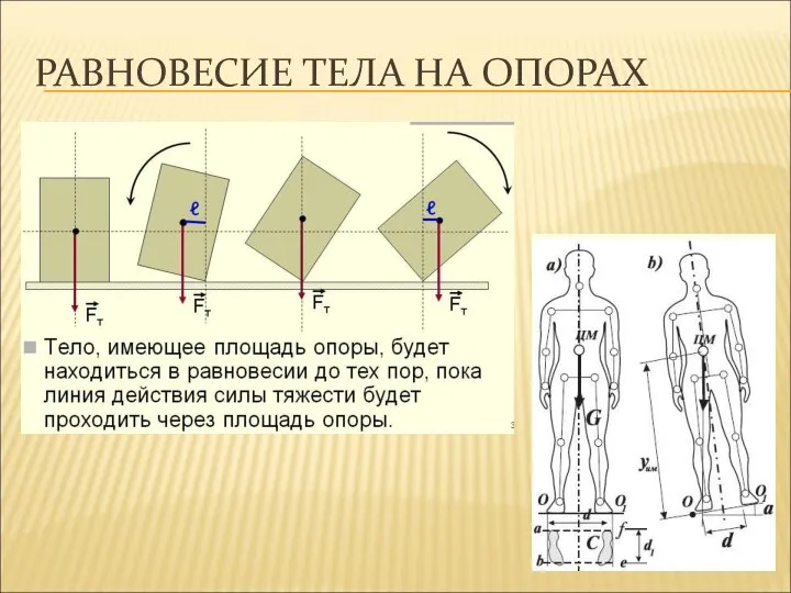 РАВНОВЕСИЕ ТЕЛА НА ОПОРАХ