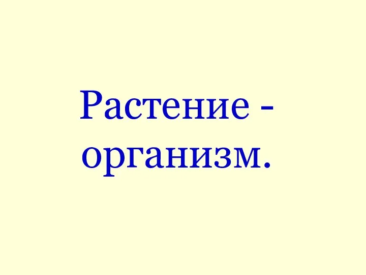 Растение - организм.