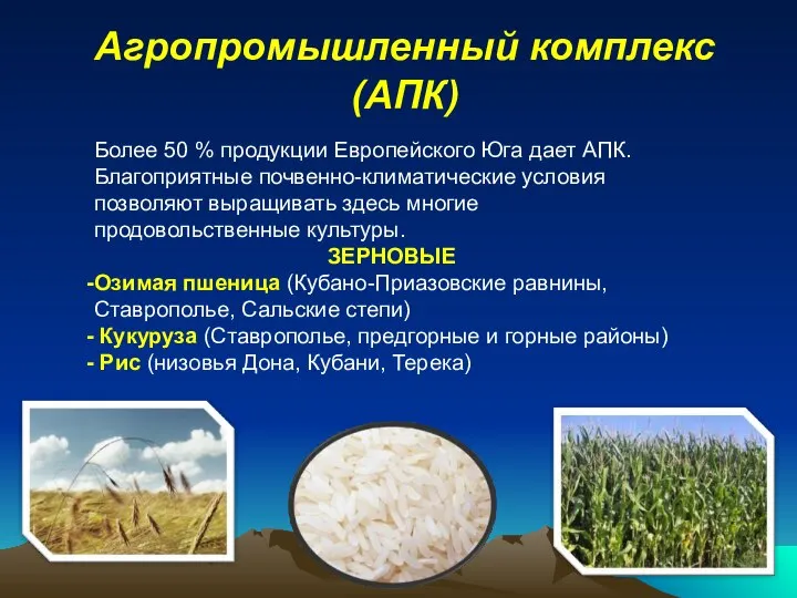 Агропромышленный комплекс (АПК) Более 50 % продукции Европейского Юга дает АПК.