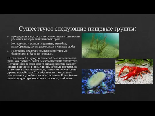 Существуют следующие пищевые группы: продуценты в водоеме - укореняющиеся и плавающие