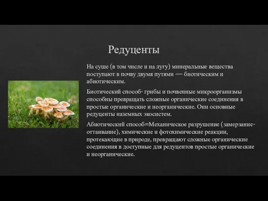 Редуценты На суше (в том числе и на лугу) минеральные вещества