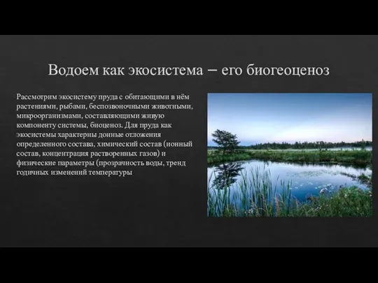 Водоем как экосистема – его биогеоценоз Рассмотрим экосистему пруда с обитающими