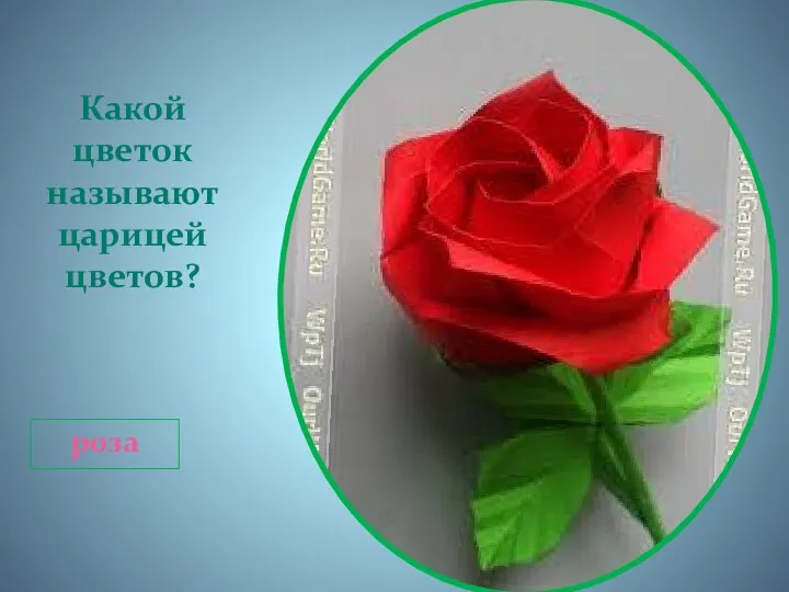 Какой цветок называют царицей цветов? роза