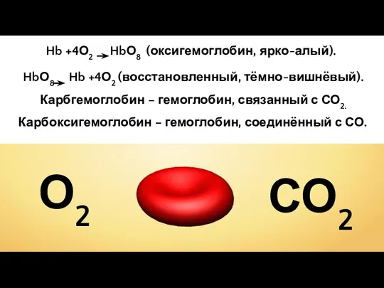 Hb +4О2 HbО8 (оксигемоглобин, ярко-алый). О2 СО2 HbО8 Hb +4О2 (восстановленный,