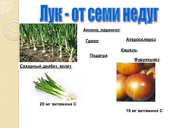 Лук - от семи недуг Сахарный диабет, колит, Ангина, ларингит: Атеросклероз: