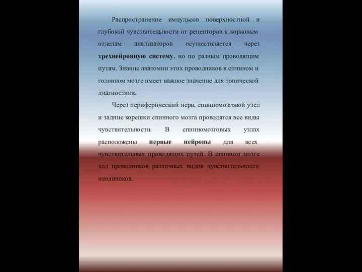 Распространение импульсов поверхностной и глубокой чувствительности от рецепторов к корковым отделам