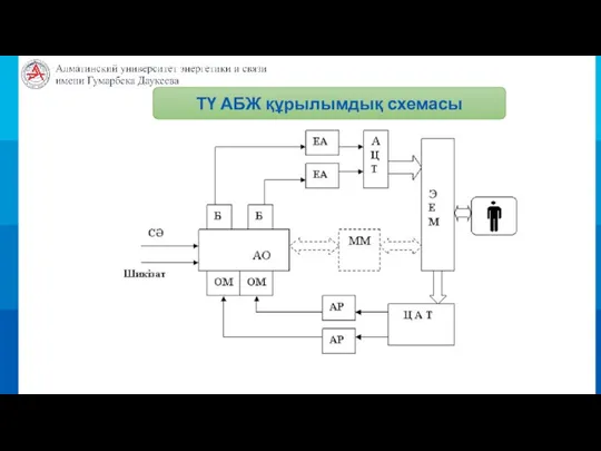 ТҮ АБЖ құрылымдық схемасы