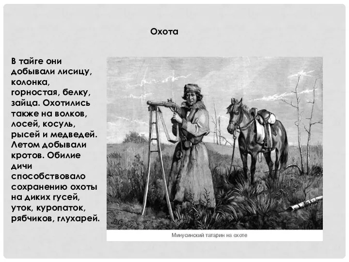 В тайге они добывали лисицу, колонка, горностая, белку, зайца. Охотились также