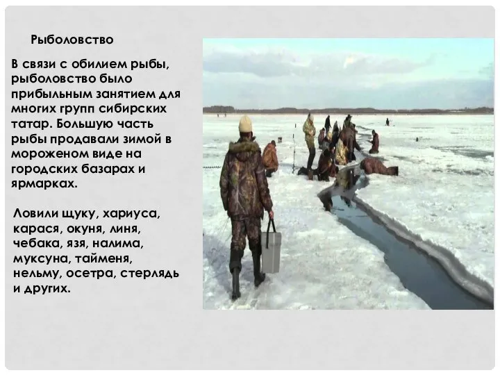 Рыболовство В связи с обилием рыбы, рыболовство было прибыльным занятием для