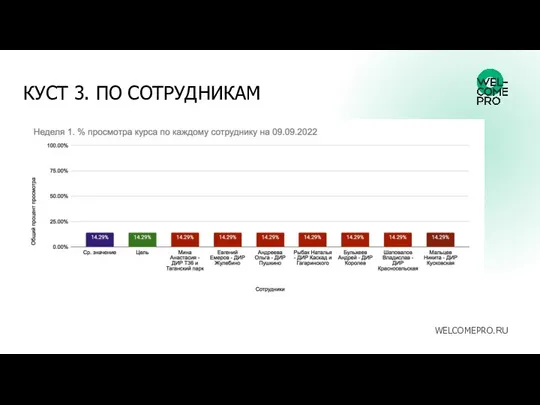 КУСТ 3. ПО СОТРУДНИКАМ WELCOMEPRO.RU