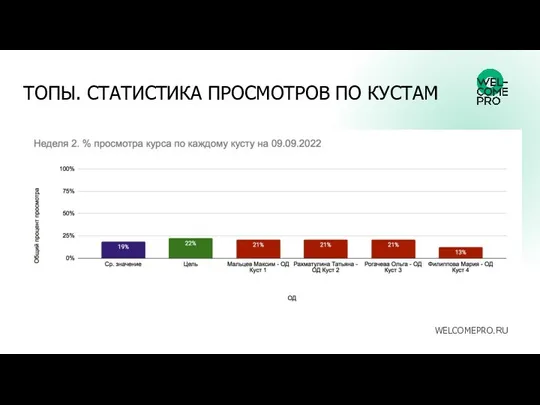 ТОПЫ. СТАТИСТИКА ПРОСМОТРОВ ПО КУСТАМ WELCOMEPRO.RU